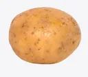 Potato