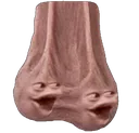 pognuts