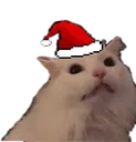 SantaCatto