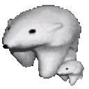 polarbearSmol polarbearSmol