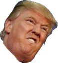 trump trump