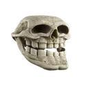 trolldead