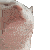 Kat