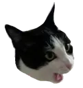 pogcat pogcat