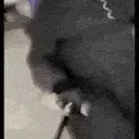 vibe_plague vibe_plague