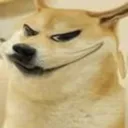 dogievil