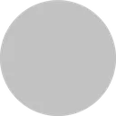 silver_circle