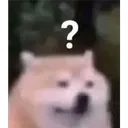what what