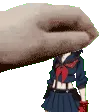 Pet
