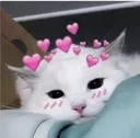 uwu