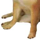cheemFeet cheemFeet