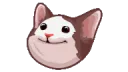 popcat