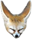 fennec fennec