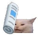 bap