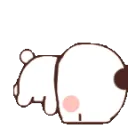 amiruspandaroll amiruspandaroll