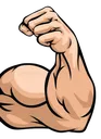 II_MUSCLE II_MUSCLE