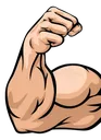 II_MUSCLE2 II_MUSCLE2