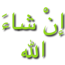 ST_1InshaAllah Discord emoji