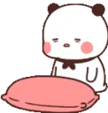 amiruspandagoodnight amiruspandagoodnight
