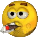 pacc