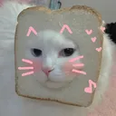 s_catbread s_catbread