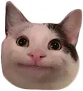 Catto catto Discord Emoji