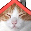 rayhouse