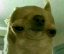 uwotm8 Discord emoji