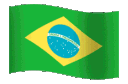 brazilflag Discord emoji