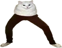 pantscat Discord emoji