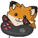 foxbongo