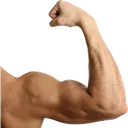 arm_right arm_right