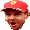 VettelSbin