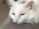 spunk2 spunk2