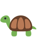 tortoise
