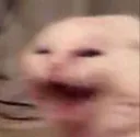 AAAAAAAA