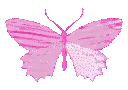 butterflypink