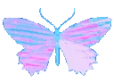 butterflyblue