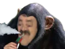 vapote