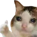 CatThumbsUp