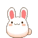 BunnyHop BunnyHop