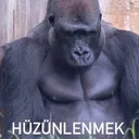 huzunlenmek