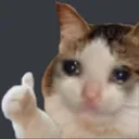SadOKCat