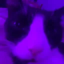 JerryMyBeloved