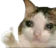 CatOk