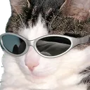 nimCoolHD