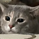 Joo
