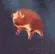 pigfly