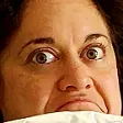 bunfuStare