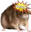 bonk